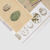 Collage style decoupage tissue paper  薄葉紙 (詳細)
