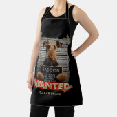 Collar Fraudster エプロン (インサイチュ)