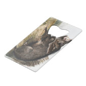 Collared Peccary Pig Camping Deco Gifts クレジットカード栓抜き (裏面アングル)