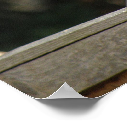 Collated Doveのポスター ポスター (角)