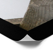 Collated Doveのポスター ポスター (角)