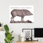Collated Peccary - Javelina - Musk Hog - Tayaussa ポスター (ホームオフィス)