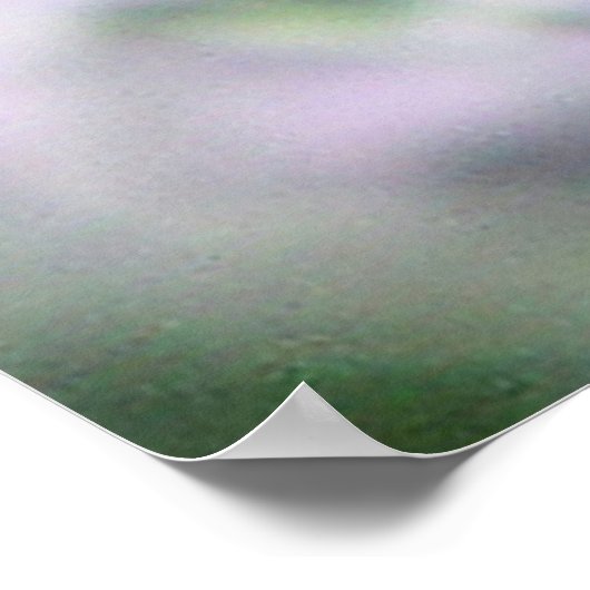 Collecting Nectar - JBオリジナル ポスター (角)