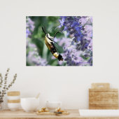 Collecting Nectar - JBオリジナル ポスター (キッチン)