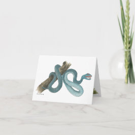 Collection Austrailian  snake Note Card カード