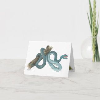Collection Austrailian  snake Note Card カード