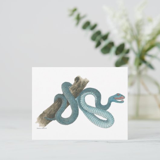 Collection Austrailian  snake Post Card ポストカード (スタンド正面)