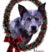 オーストラリア牛の犬のクリスマスプレゼントオーナメント セラミックオーナメント