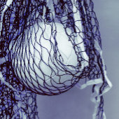 グレーバレーボール誕生日 招待状