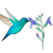 ロビンの卵モノグラムハミングバード ギフトタグ