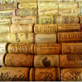 Mw pfsテスト ベビーボディスーツ