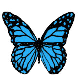 Magical butterfly モーフィングマグカップ