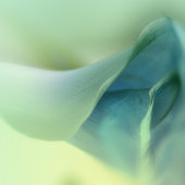 ブルートーン結婚ズ ラウンドシール