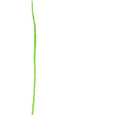 素朴結婚の青い野シンプル花 出欠カード