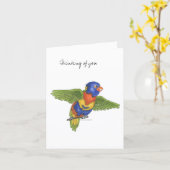 Collection Budgie  Note Card カード (黄色い花)