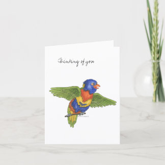 Collection Budgie  Note Card カード