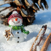 休日パーソナライズされた差出人住所ラベル ラベル