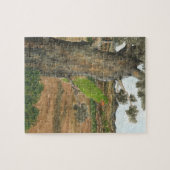 Collection Chip in eucalyptus tree Puzzle ジグソーパズル (横)