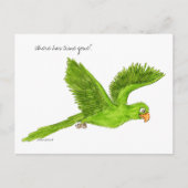 Collection Chip postcard ポストカード (正面)