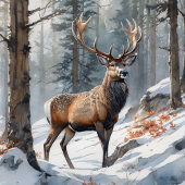 クリスマスノールカードデザイン カード