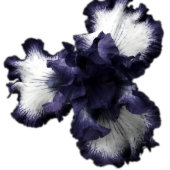 ダークパープルのミニマルな輝く透モダン明 招待状