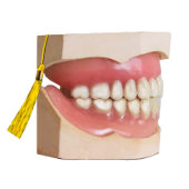 歯科学校卒業党の贈与 薄葉紙