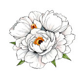 Elegant Black Floral Wedding Invitation 招待状