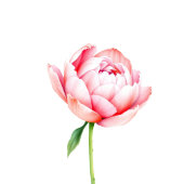 Elegant Green Love Thanks スクエアシール