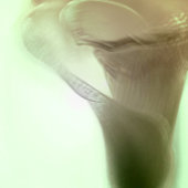 結婚の ラウンドシール