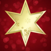 ゴールデンクリスマススターレッド《写真》ぼけ味 スタンダードカクテルナプキン