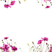 Modern Wildflower Garden  Wedding Invitation  招待状