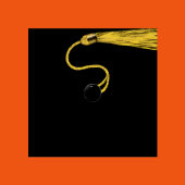 卒業パーティーオレンジ ペーパープレート