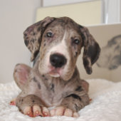 私の親友によろしくと言いなさい Tシャツ