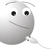 白い妖精のおとぎ話，ブライダルシャワー,フローラ エンクロージャーカード