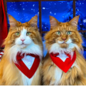 トニー&テディホリデーナプキンズ スタンダードカクテルナプキン