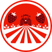 セルフピックブルーベリー農園プロモーション 横断幕