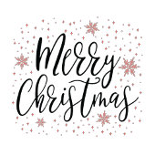 メリー&ブライトコーラルクリスマスホリデーパーティー ペーパープレート