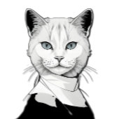 神秘的な白黒のサレムの猫 バスタオル