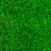 サッカーフィールドの四角い緑の草のテクスチャ 鍋つかみ&鍋敷きセット
