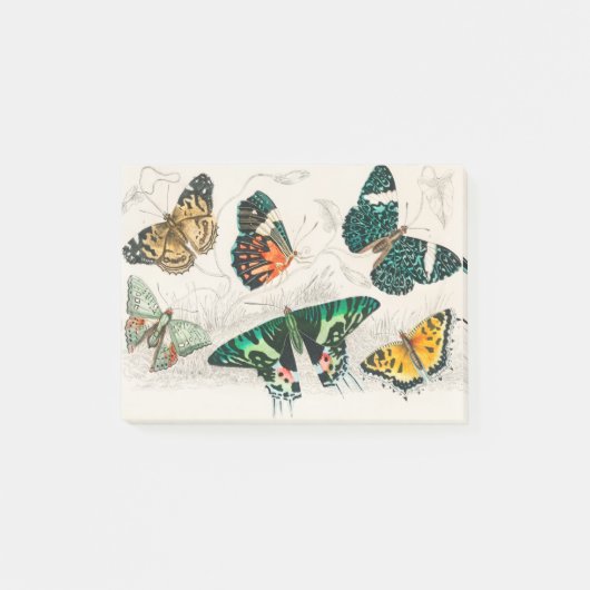 Collection of Various Butterflies ポストイット (正面)