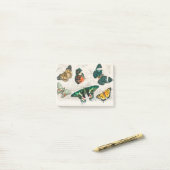 Collection of Various Butterflies ポストイット (デスク上)