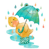 アヒルの赤ちゃんがやってくる!お招待状 招待状