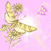 ピーチパープルバタフライ招待状 招待状