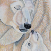 白くま愛 シーズンカード