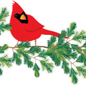 クリスマス恵みレッド（鳥）ショウジョウコウカンチョウオンパインブランチ シーズンカード