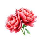 Sophisticated Red Floral Beverage Menu アクリルサイン