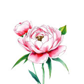 Romantic Pink Floral Peony Illustration ラベル