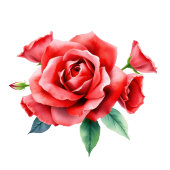 Elegant Red Floral Beverage Menu アクリルサイン