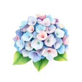 Serene Blue Floral Hydrangea ラベル