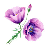 Serene Lavender Floral Minimalist プレイスカード